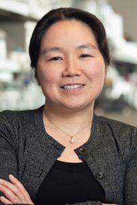 Headshot of Yukiko Yamashita